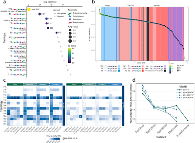 Ancient Rapid Radiation Underlies Persistent Phylogenomic Conflict in Early Collembola Diversification