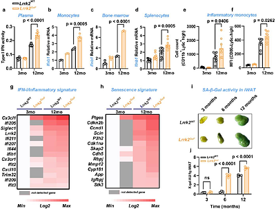 Aging-associated endo-lysosomal dysfunction drives inflammaging and neurodegeneration through the STING-IFN-I axis