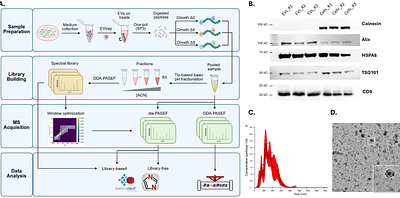 Multiplexed Data-Independent Acquisition (mDIA) to Profile Extracellular Vesicle Proteomes