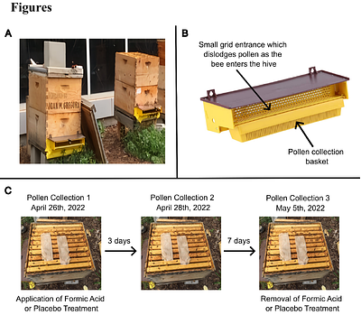 Effect of formic acid treatment on Apis mellifera foraging behavior as assayed using nanopore metabarcoding technologies