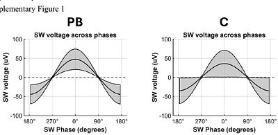 Visual exploration drives Hippocampal SWR rates during 3D spatial navigation in the freely moving marmoset