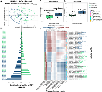 The planktonic microbiome of the Great Barrier Reef