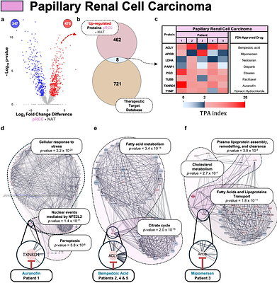 Absolute quantitative proteomics guides patient-stratified drug repurposing in clear cell and papillary renal cell carcinoma.
