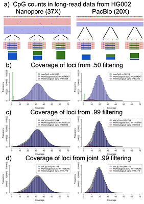 Sample-specific CpG loci are important for accurate long-read methylation analysis