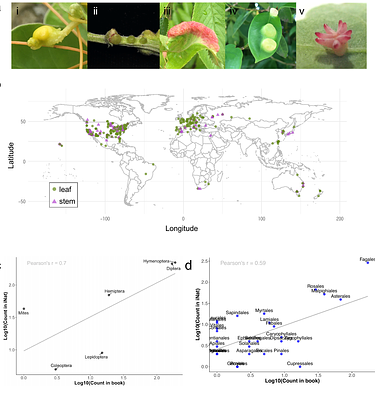 Citizen science data indicates morphological complexity of galls depends on the originating plant organ