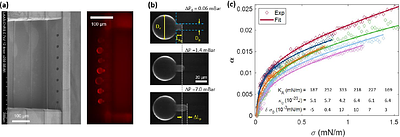 Parallel on-chip micropipettes enabling quantitative multiplexed characterization of vesicle mechanics and cell aggregates rheology