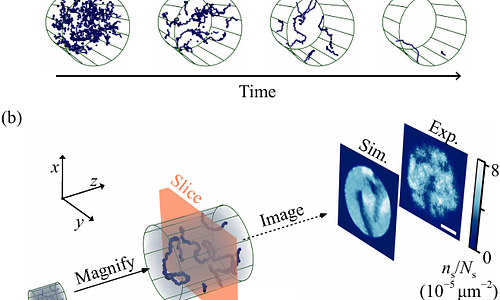 Observation of Vinen turbulence during far-from-equilibrium Bose-Einstein condensation