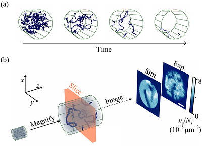 Observation of Vinen turbulence during far-from-equilibrium Bose-Einstein condensation