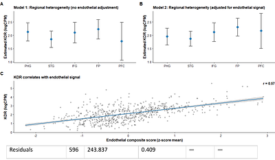 APOE4 Genotype is Associated with Reduced Cortical VEGFR2 (KDR) Transcript Levels Independent of Endothelial Abundance: An AMP-AD RNA-seq Pilot Study