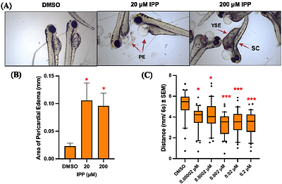 Assessing mechanisms driving phenol isopropylated phosphate (IPP)- induced larval photomotor response deficits in zebrafish