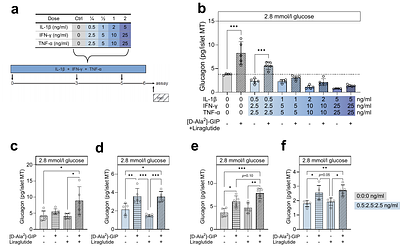 Proinflammatory cytokine-induced alpha-cell impairment in human islet microtissues is partially restored by dual incretin receptor agonism