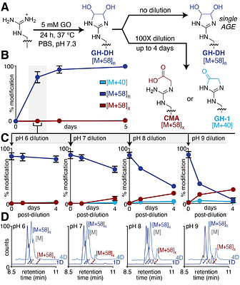 A Cyclic Arginine Adduct Eclipses Carboxymethylation as the Primary Glyoxal-Derived Advanced Glycation End-Product