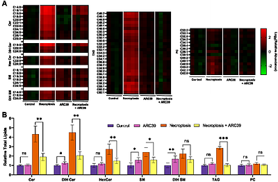 Inhibition of Acid Sphingomyelinase Links Sphingolipid Remodeling to Necroptotic Cell Death