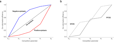 Emergent epistasis mediates the role of negative frequency-dependent selection in bacterial strain structure
