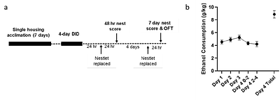 Effects of binge-like ethanol drinking on nest building behavior in mice