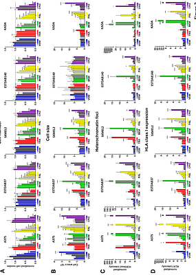 Palbociclib CDK4/6- and Crizotinib MET/ALK/ROS1-inhibitors Synergize to Enhance Senescence and Immune Recognition in Melanoma Cells Independently of BRAF/NRAS Status