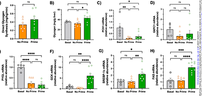 Morning Elevation in Insulin Enhances Afternoon Postprandial Insulin Action and Glucose Effectiveness