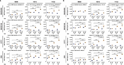 Enhancing the detection of HTT1a with neoepitope antibodies in mouse models of Huntington's disease
