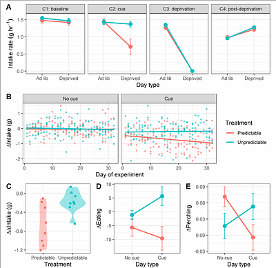 Ability to predict irregular periods of food deprivation improves body-weight regulation and reduces weight gain in food-insecure starlings
