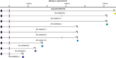 A novel Hox gene promoter fuels the evolution of adaptive phenotypic plasticity