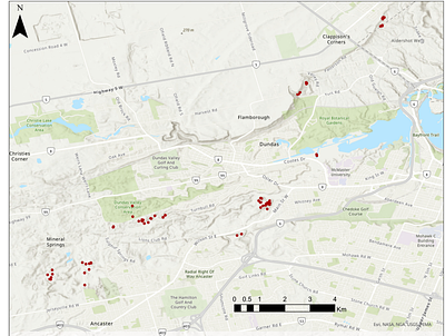 Windthrow-generated tip-up mounds create contrasting regeneration niches for red oak and black cherry in a deer-browsed Carolinian forest