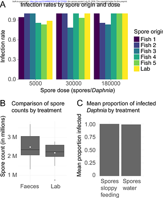 Assessing planktivorous fish as vectors of a plankton parasite