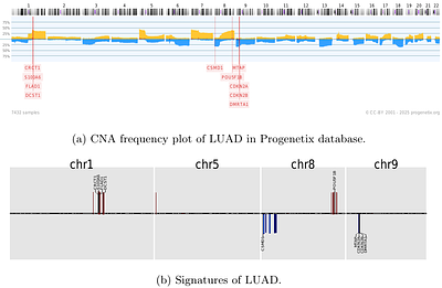 CNAttention: an attention-based deep multiple-instance method for uncovering CNA signatures across cancers