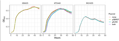 Species interactions determine plasmid persistence in a 3-member bacterial community