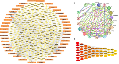 Patolakaturohiniyadi Kashayam, exerts anti-steatotic and anti-obesogenic effects via coordinated regulation of lipid metabolism, inflammation, and incretin signalling.
