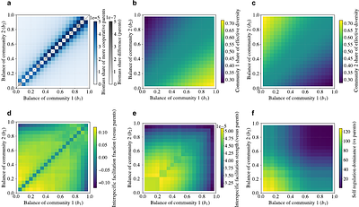 Structural Complementarity Maximizes Feasibility and Stability in Microbial Community Coalescence
