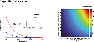 Optical constraints on two-photon voltage imaging