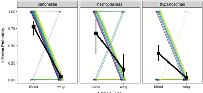 Validating wing biopsies for blood-borne pathogen characterization in bats