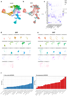 Intranasal oxytocin mRNA-LNP can promote social behaviour and reduce pain