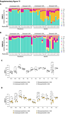Biofilms promote tolerance and stability in gut bacterial communities during bile acid stress