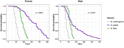 Alternative Splicing in TRPA1 Drives Sensory Adaptation to Electrophiles in Drosophilids