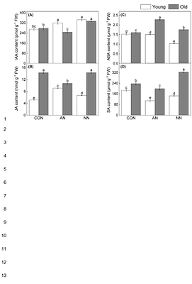 Leaf age modulates physiological and metabolic responses to contrasting nitrogen forms in Chinese fir (Cunninghamia lanceolata (Lamb.) Hook)