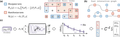 Ansatz-Free Learning of Lindbladian Dynamics In Situ