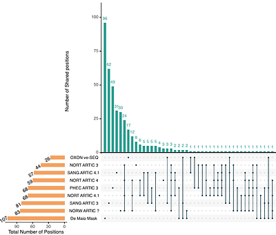 Identification and Masking of Artefactual and Misleading Within-Host Variants in Deep-Sequencing SARS-CoV-2 Data