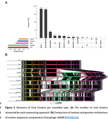 Nanopore and Illumina Sequencing Reveal Different Viral Populations from Human Gut Samples