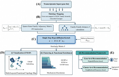 A Hierarchy-aware Gene Exploration Platform for Multi-layered Toxicogenomic Analysis: A Case Study on Acetaminophen-induced Hepatotoxicity