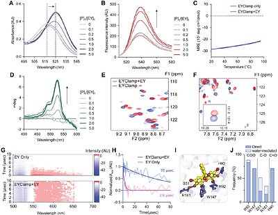 A de novo designed enzyme for photo-proximity labeling of E3 ligase neighborhoods in live cells