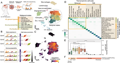 Decoding Plasticity Regulators and Transition Trajectories in Glioblastoma with Single-cell Multiomics