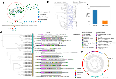 Widespread Genomic Islands in Giant Viruses Shape Genome Plasticity and Mosaicism