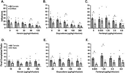 Impact of Sex on Heroin Intravenous Self-Administration by Heterogeneous Stock Rats
