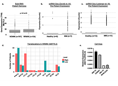 Defining the RNA Modification Landscape of Multiple Myeloma Reveals METTL3-Dependent m6A Regulation of NEAT1