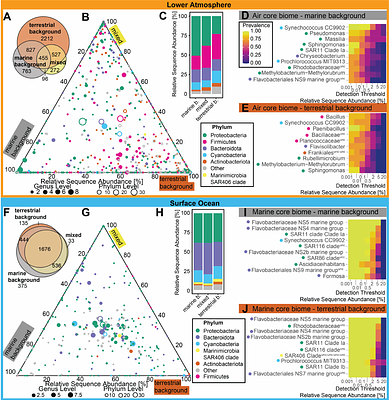 Latitudinal diversity gradients and selective microbialexchange at the Atlantic ocean-air interface