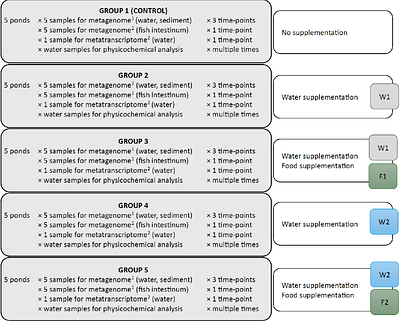 Supplementation with effective microorganisms in earthen ponds affects common carp growth but not overall microbial communities