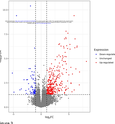 Transport stress induces paradoxical increases in airway inflammatory responses in beef stocker cattle