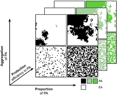 Applying a metaweb approach to reserve design: large, well protected areas are crucial to maintain food webs