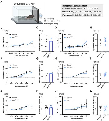 Early ingestive experience with a high-fat diet tunes satiation and nutrient-specific appetitive behaviors